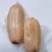 真空洪湖粉藕