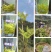 高山土特产
