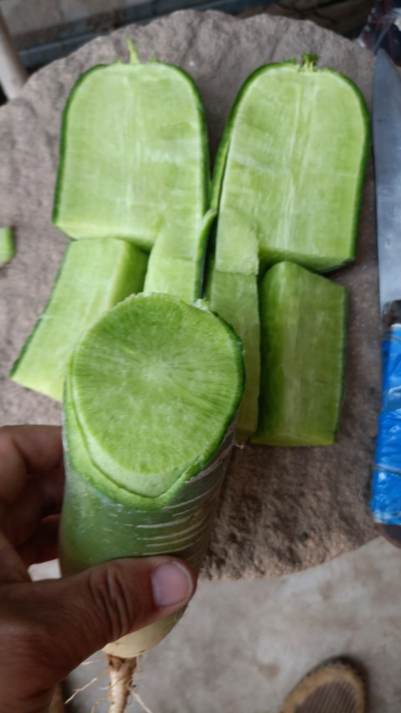 水果萝卜
