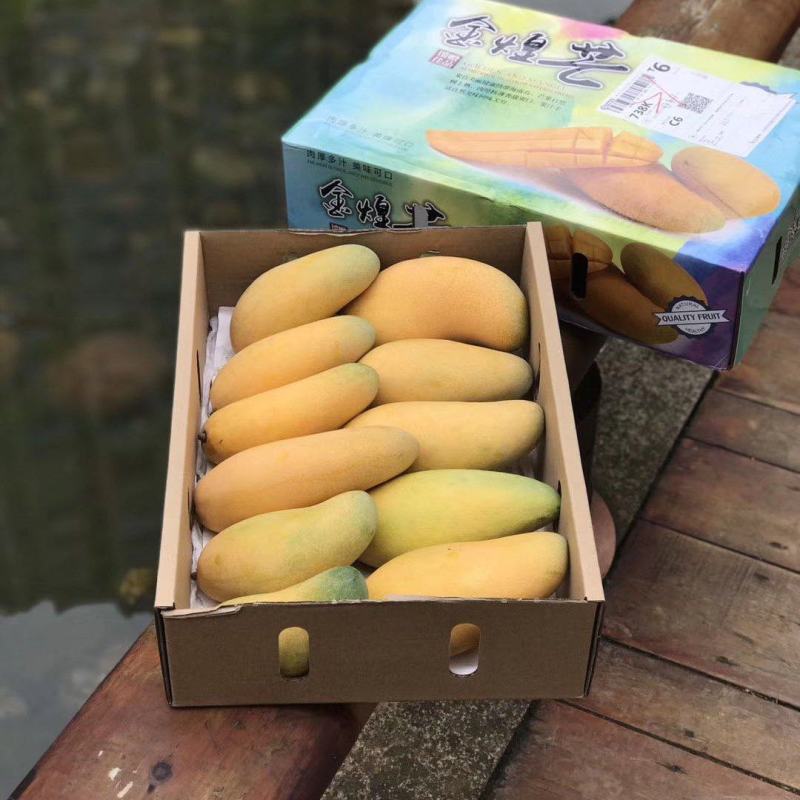海南三亚金煌芒，贵妃芒，台农芒，线上线下可对接。