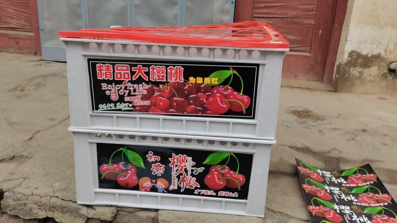 一次性水果筐