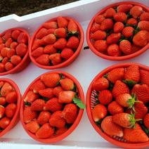 草莓宁玉，天仙脆，香甜可口，电商货，社群货