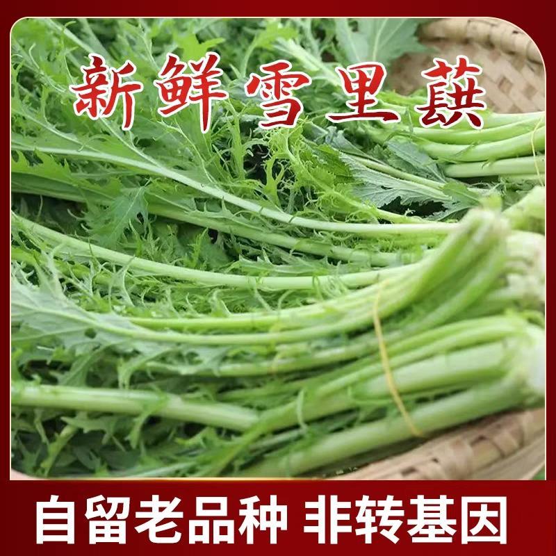 雪里红加工厂货市场货，大量供应，量大从优