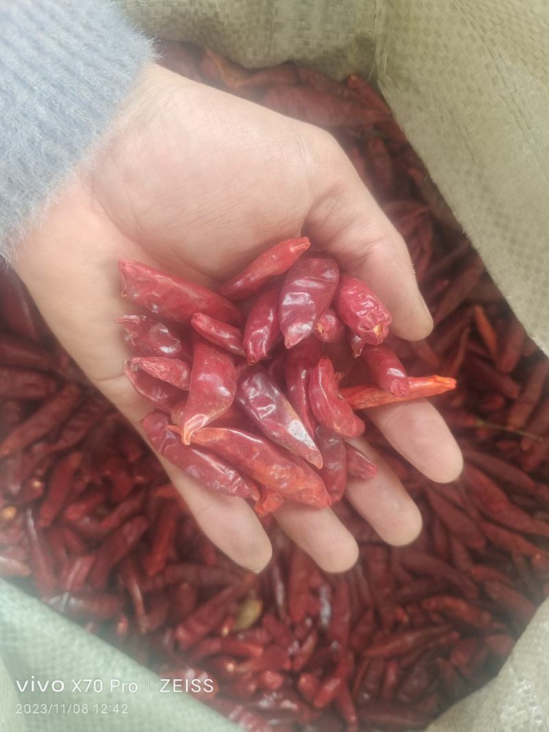精品三樱椒干辣椒对接电商市场商超一手货源全年有货