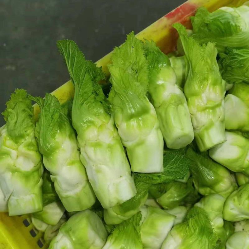 精品儿菜