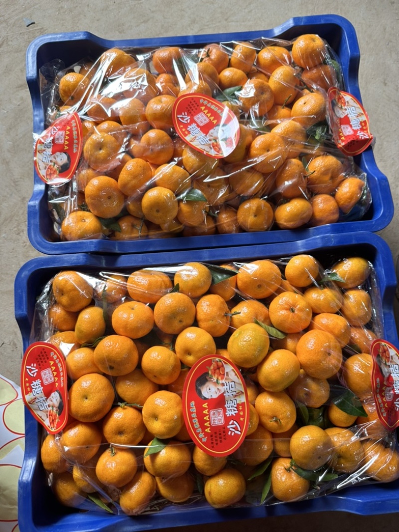 广西砂糖橘，棉桔，南丰蜜桔，金秋，原产地供货，品质保证