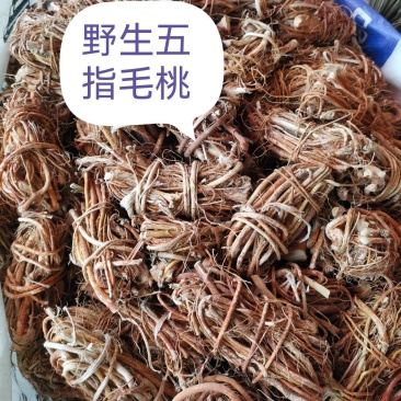 精品无硫小扎五指毛桃，新货味道香，价格实惠，长期有货