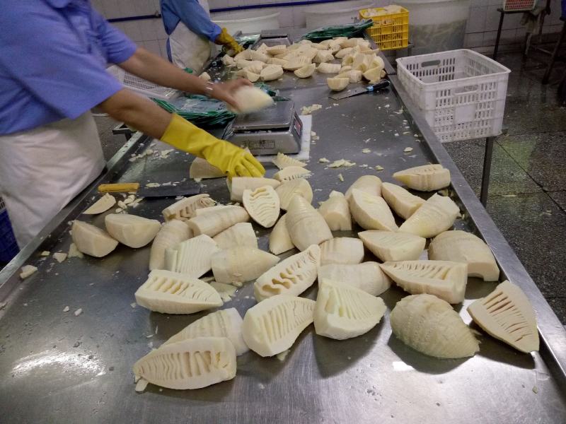 【水煮笋】预制菜火锅笋新鲜水煮笋厂家直销热菜社区团购饭店