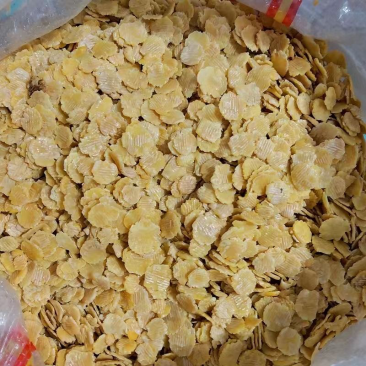 豆胚