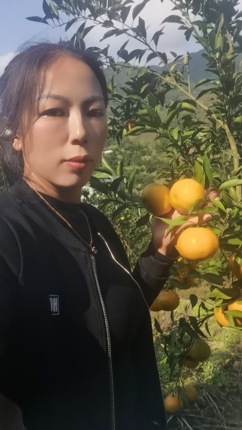 开州脐橙皮薄多汁产地直供量大优惠欢迎来电咨询