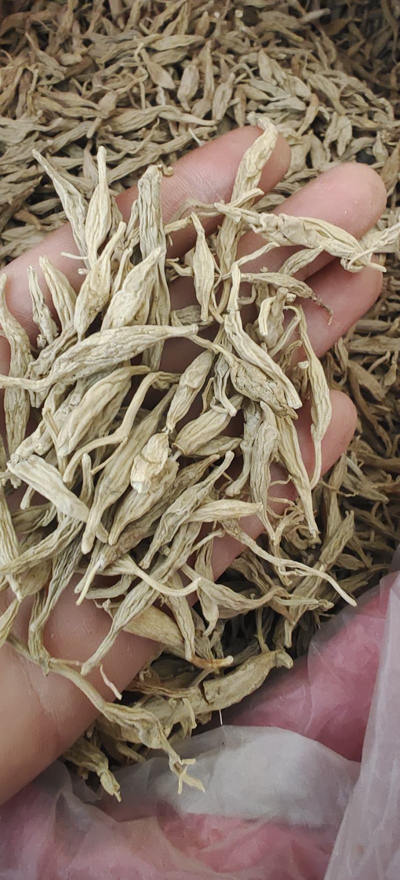 麦冬，湖北野生麦冬干货，除烂除霉全干货，一手货源，产地发