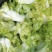 儿菜基地，儿菜头大量有货价格便宜保质量代发代收