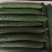 【优选】湛江徐闻县密刺黄瓜黄瓜青瓜量大从优一手货