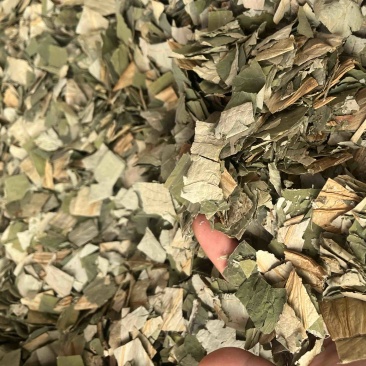 荷叶荷叶块荷叶切丝两种规格荷叶