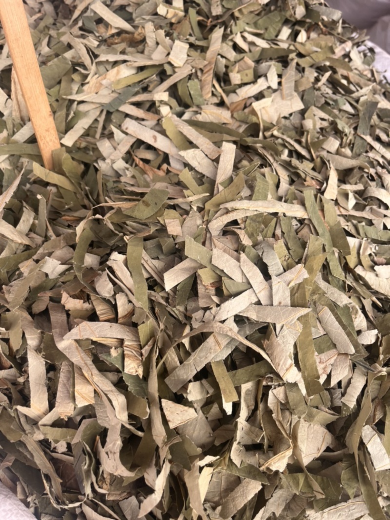 荷叶荷叶块荷叶切丝两种规格荷叶