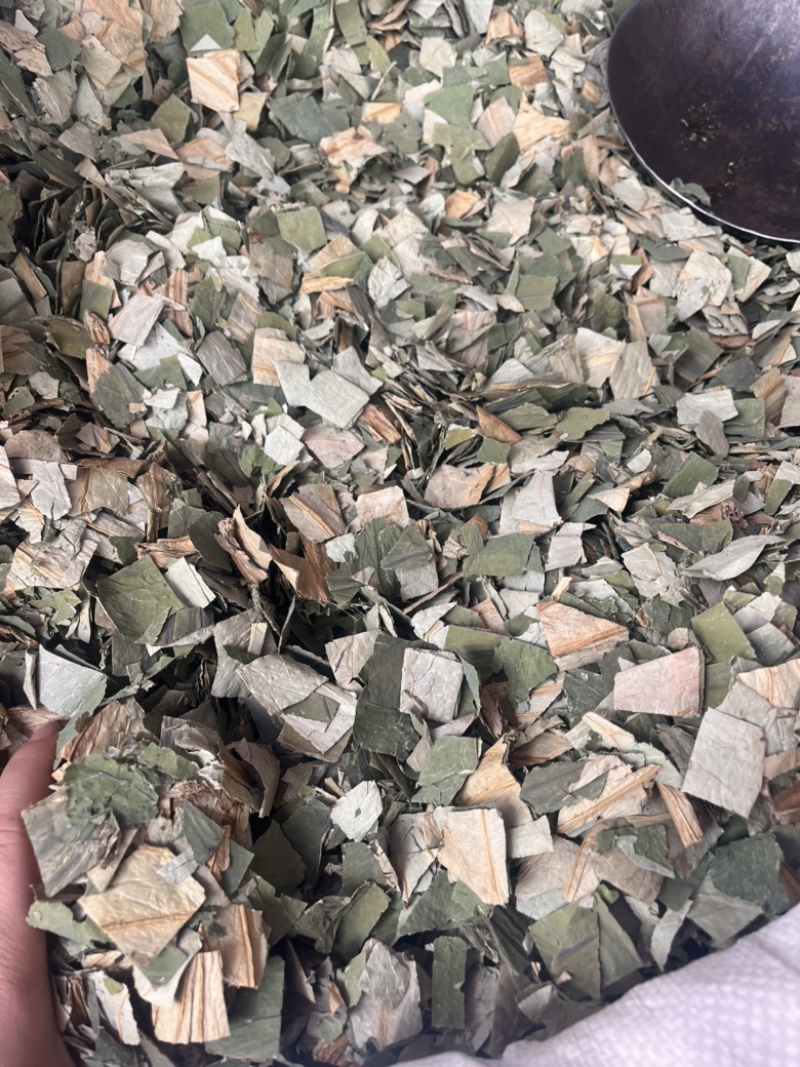 荷叶荷叶块荷叶切丝两种规格荷叶