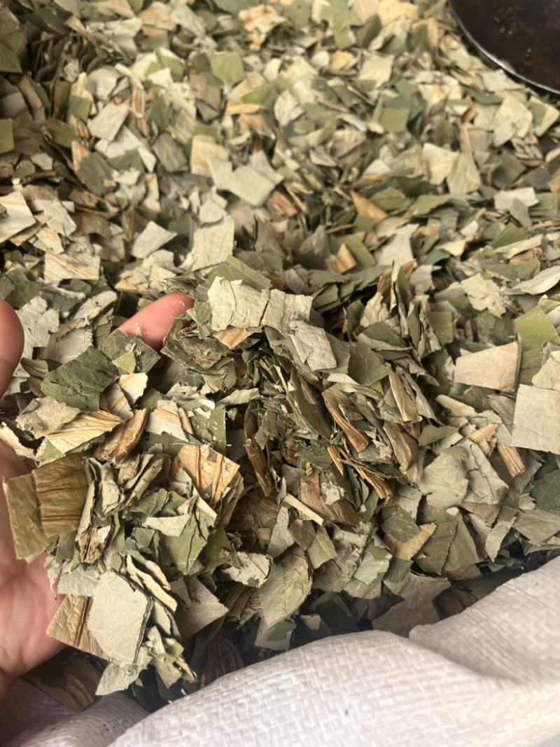 荷叶荷叶块荷叶切丝两种规格荷叶