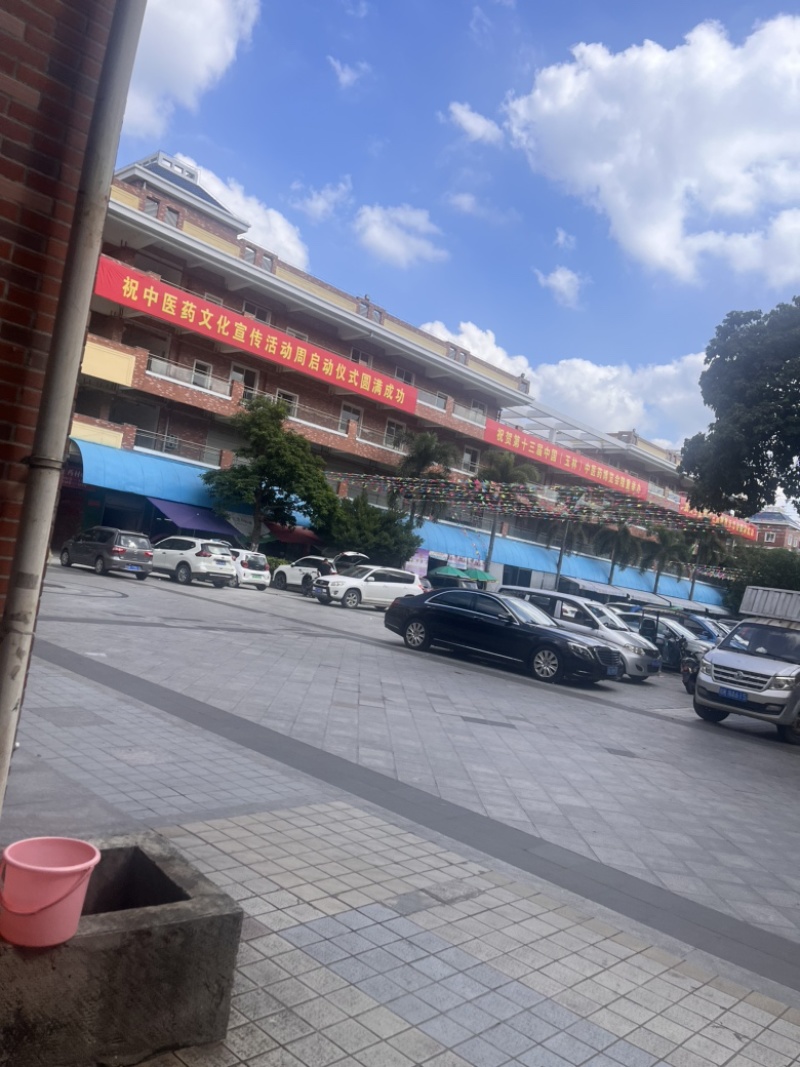 荷叶荷叶块荷叶切丝两种规格荷叶