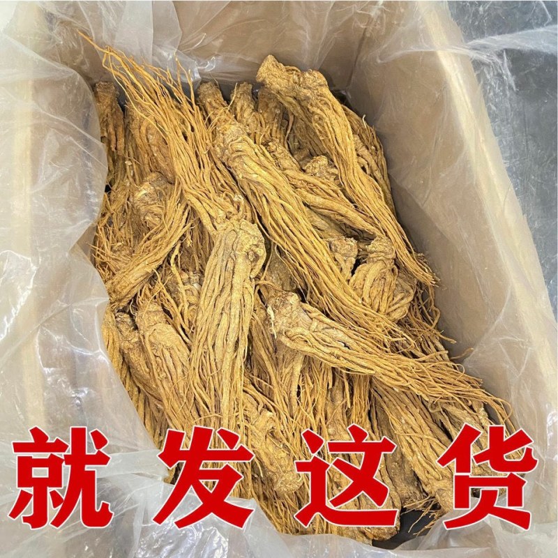 中药材当归、当归个子、当归头片整条正宗眠县当归个批发
