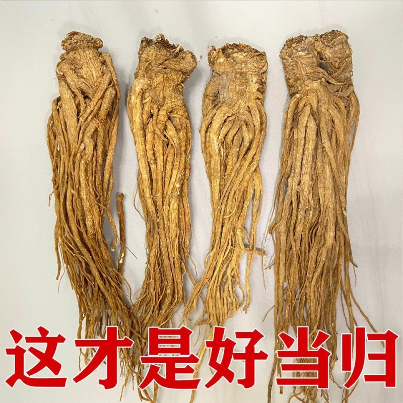 中药材当归、当归个子、当归头片整条正宗眠县当归个批发