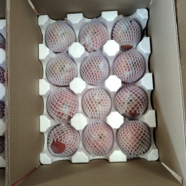 膜袋红富士冰糖心货源充足大量上市