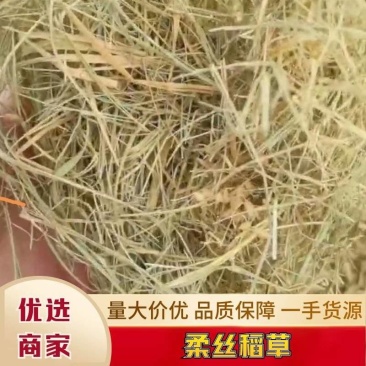 【推荐稻草】柔丝稻草天津直发全国市场视频供应量大从优电联优惠
