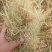 【推荐稻草】柔丝稻草天津直发全国市场视频供应量大从优电联优惠