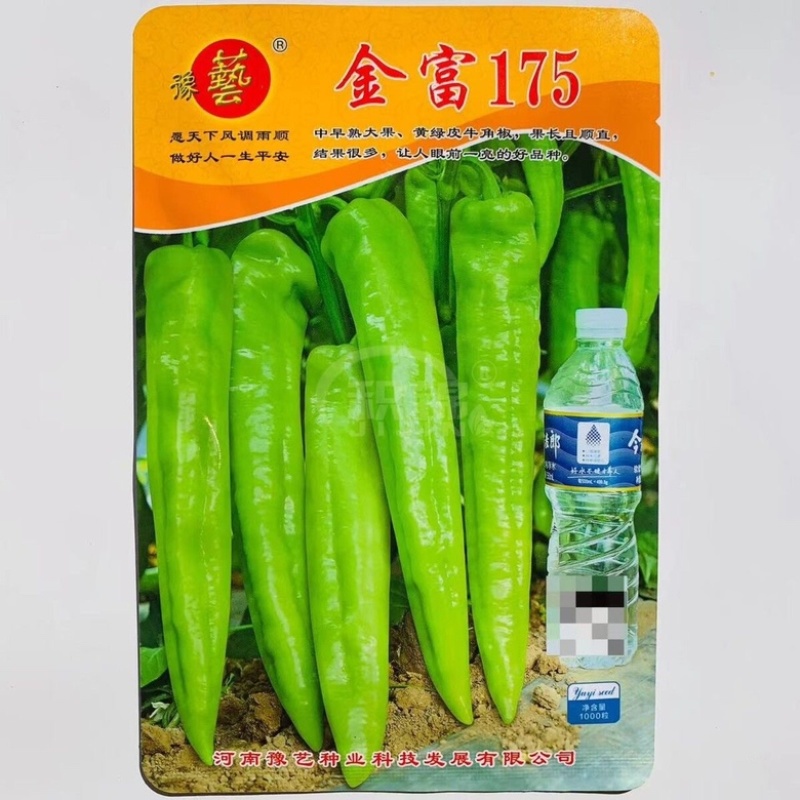豫艺大麻花全螺丝椒品种，无线生长大果型品种种子