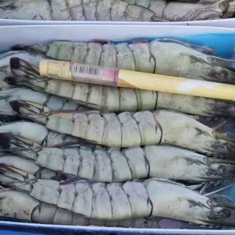 《精选》优质黑虎虾货源充足工厂直发黑虎虾保质保量