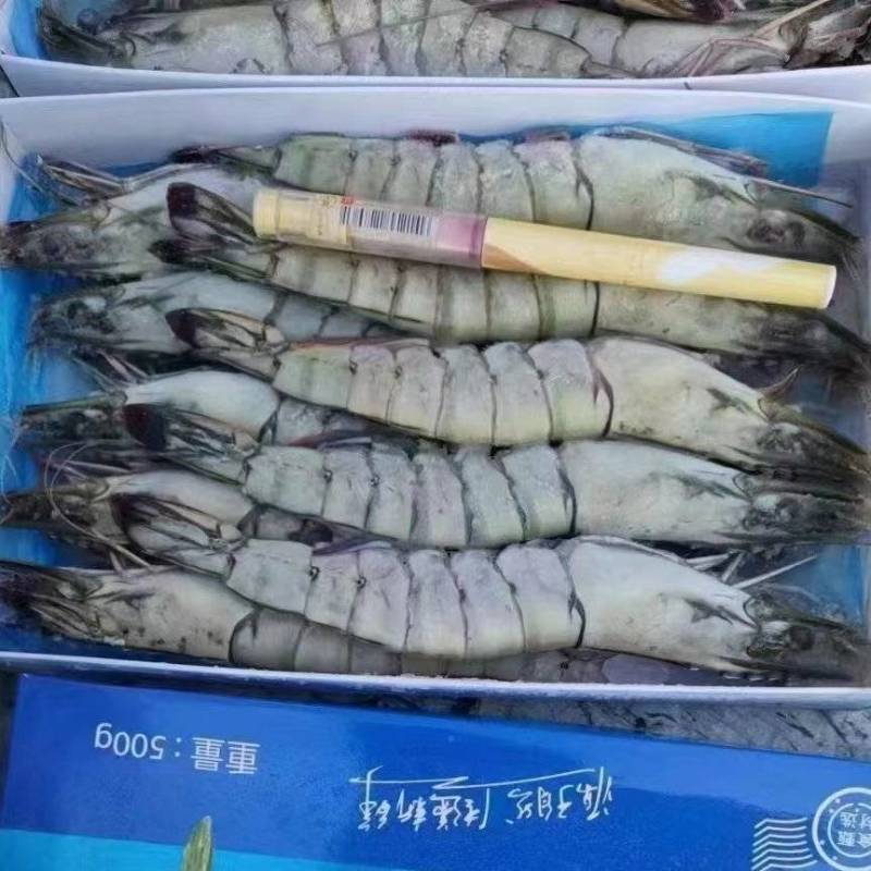 《精选》优质黑虎虾货源充足工厂直发黑虎虾保质保量