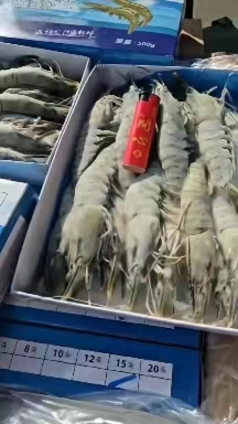《精选》优质黑虎虾货源充足工厂直发黑虎虾保质保量
