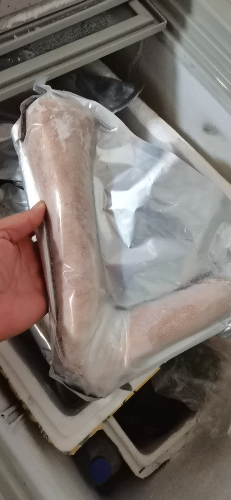 大家晚上好？我家的鹿茸大量批发有需要的可以联系我吧