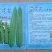 大肉甜丝瓜种子—大花丝瓜种植—花点丝瓜收购