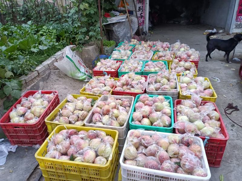 中华寿桃