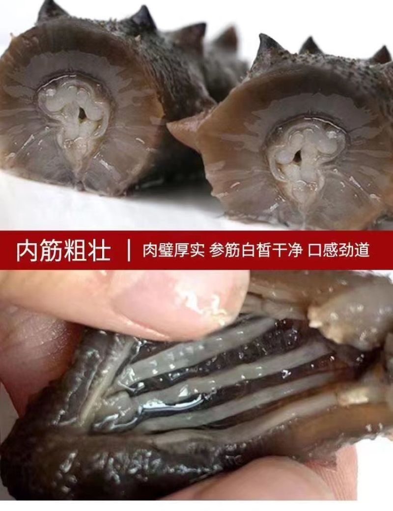 源头厂家精品即食海参海参礼盒批发，一手货源产地直发