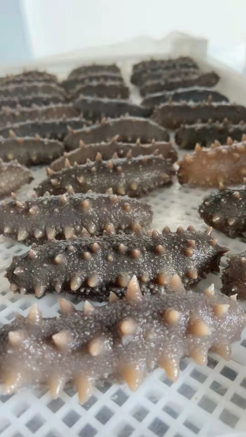 源头厂家精品即食海参海参礼盒批发，一手货源产地直发