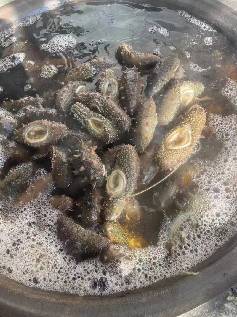 源头厂家精品即食海参海参礼盒批发，一手货源产地直发