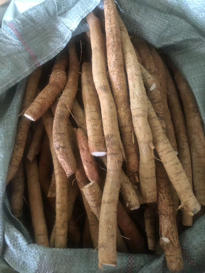 批发新鲜牛大力粉质薯产地直销现挖现卖量大从优长期供