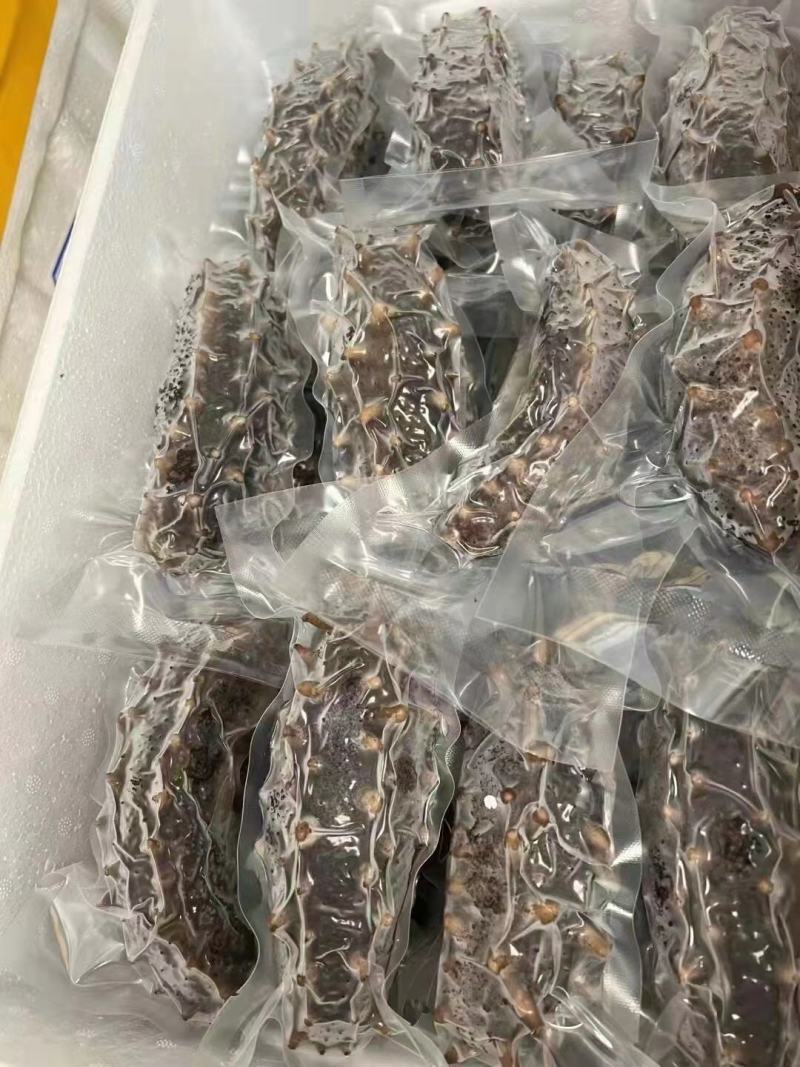 源头厂家精品即食海参海参礼盒批发，一手货源产地直发