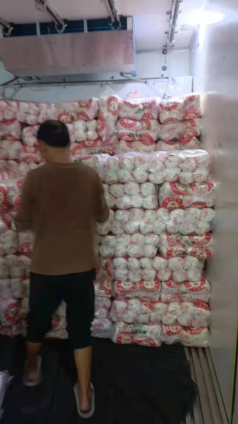 周口娃娃菜上市品相好价格优美电商商场档口货量多可商