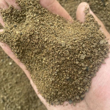 烘干鸡粪蛋白颗粒适用猪牛羊饲料添加剂养鱼肥高蛋白高脂肪