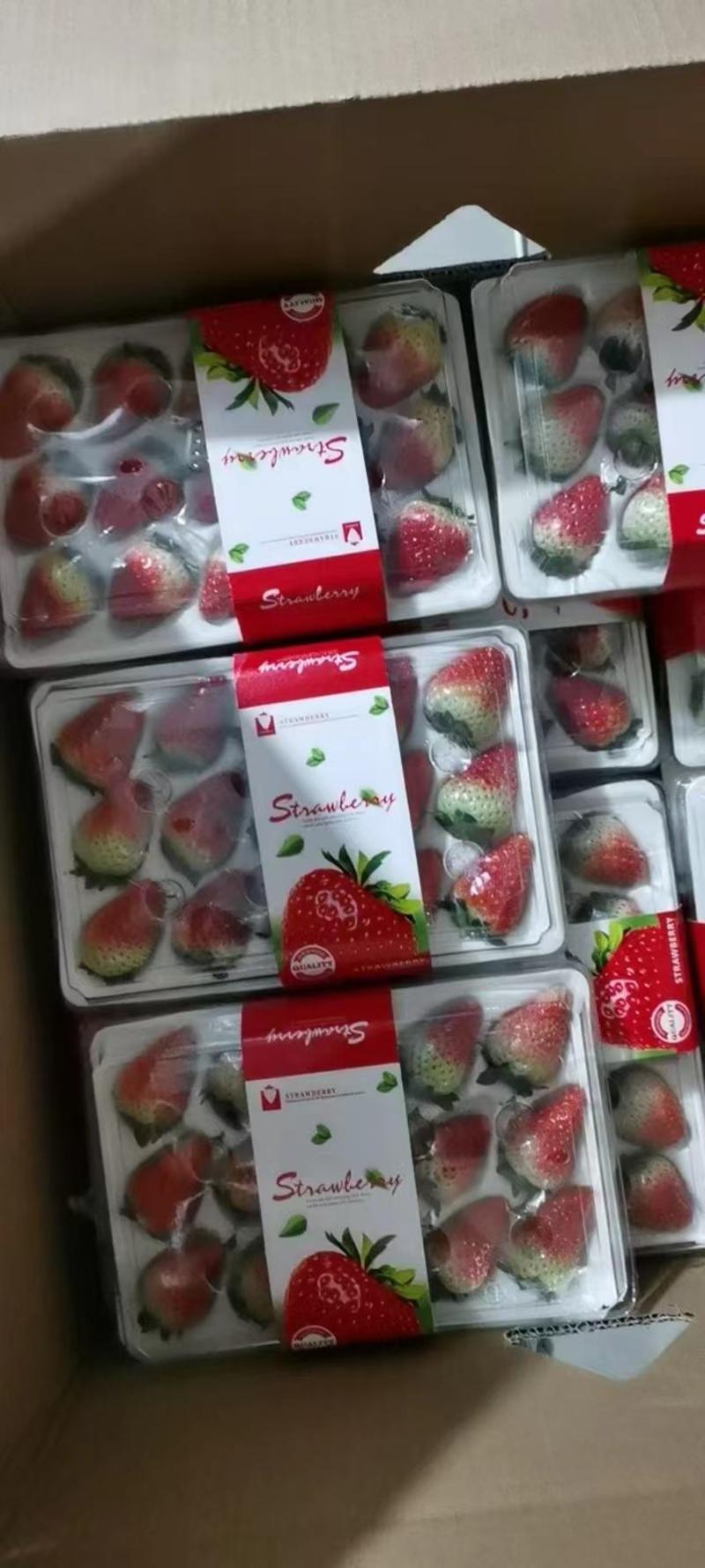 精品天仙醉草莓对接超市一件代发全国发货酸甜可口