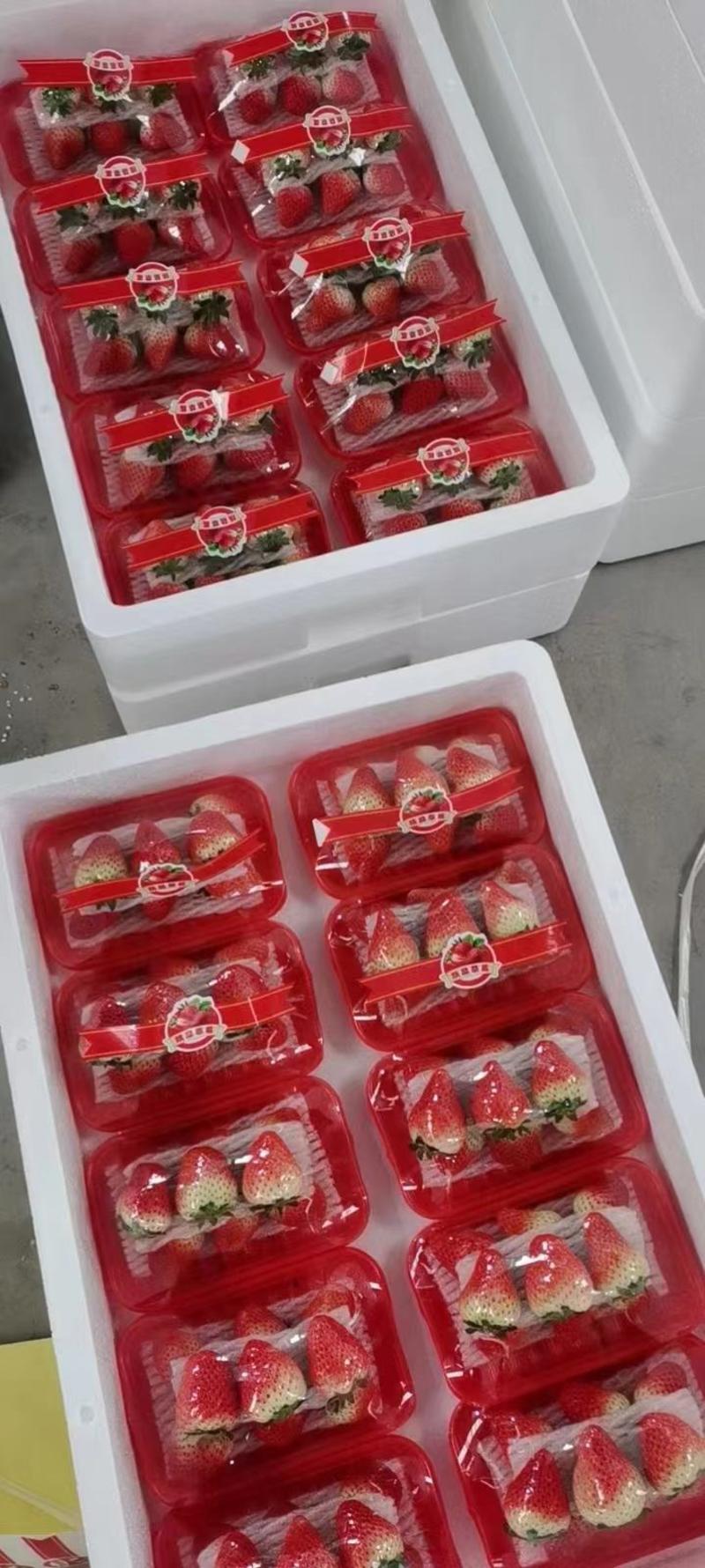精品天仙醉草莓对接超市一件代发全国发货酸甜可口