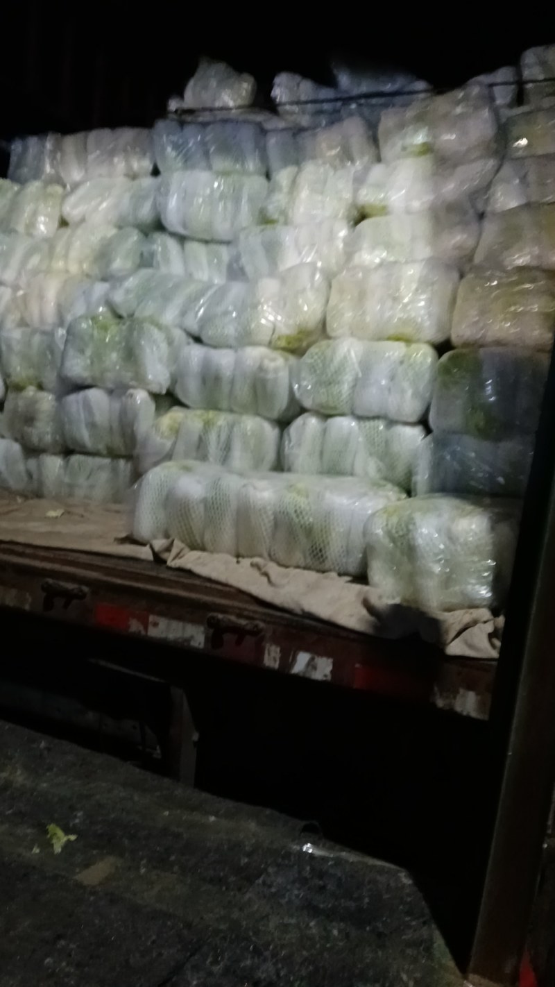 湖北娃娃菜，小娃娃菜，大娃娃菜，产区直发全国