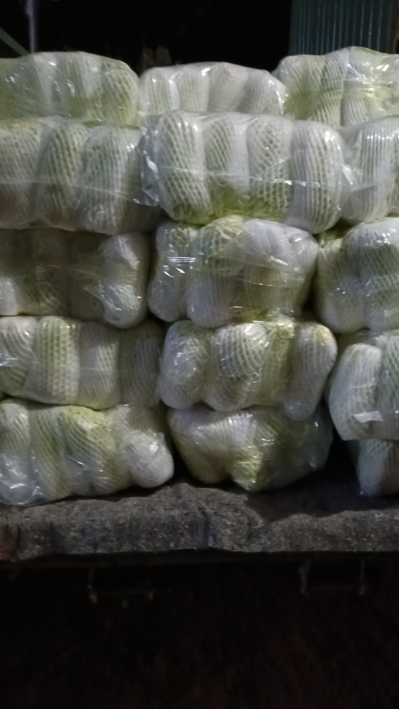 湖北娃娃菜，小娃娃菜，大娃娃菜，产区直发全国
