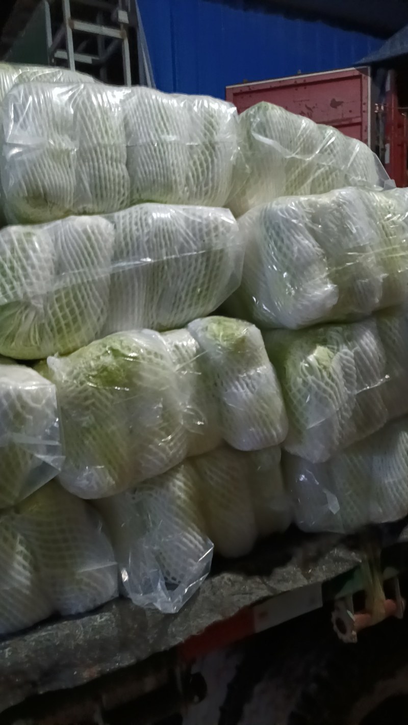 湖北娃娃菜，小娃娃菜，大娃娃菜，产区直发全国
