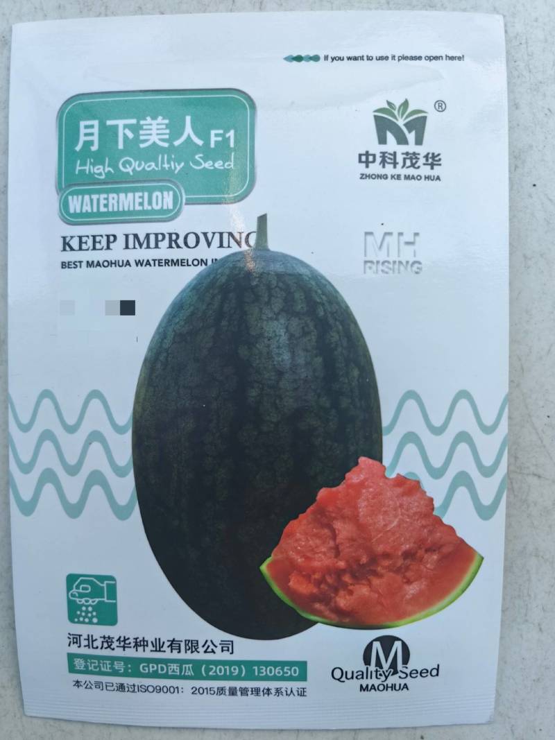 黑美人西瓜种子月下美人早熟礼品黑皮西瓜种籽沙红瓤懒汉水果