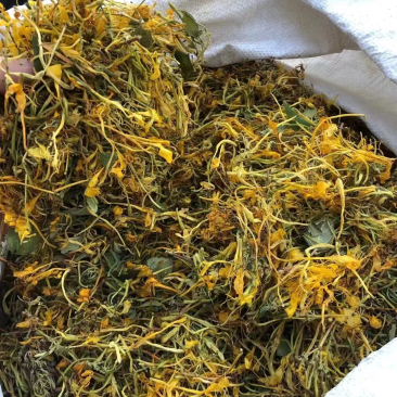 金银花~五彩花