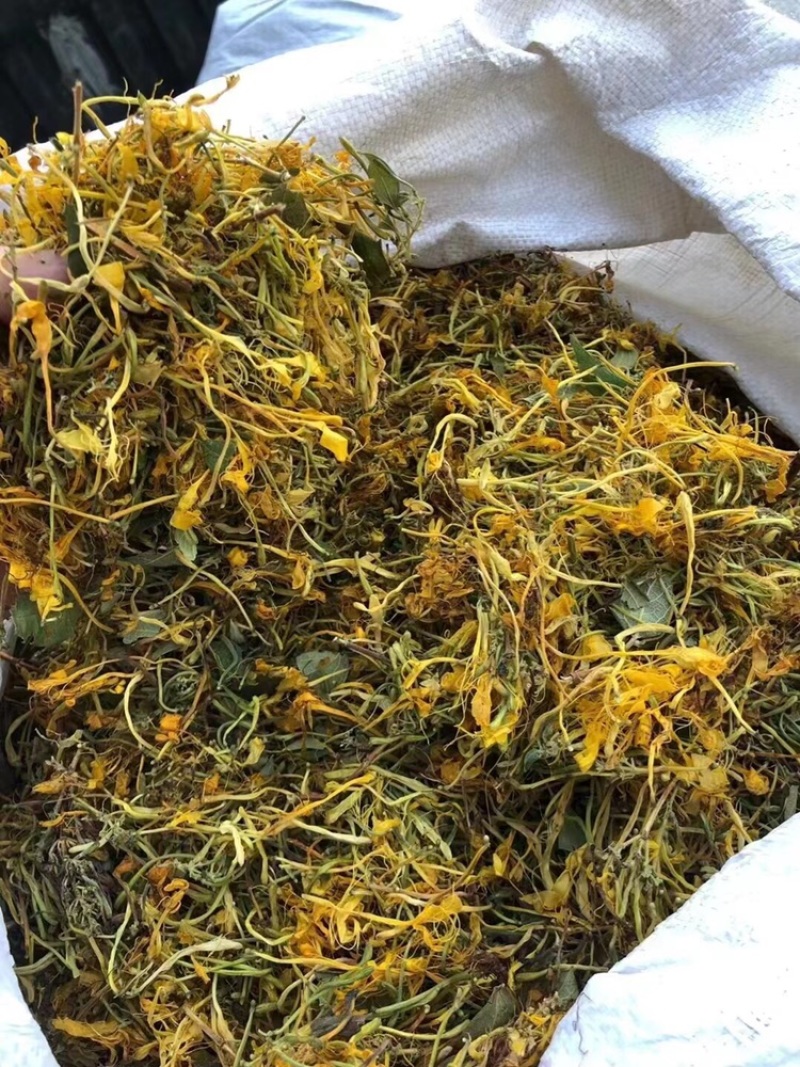 金银花~五彩花