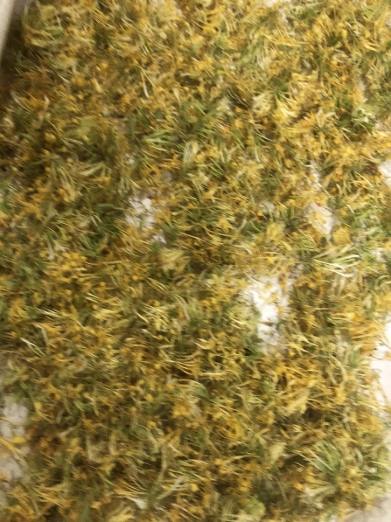 金银花~五彩花